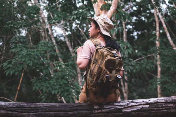 istock Back view of woman with backpack hiking sitting on a tree trunk in deep forest 1482125633