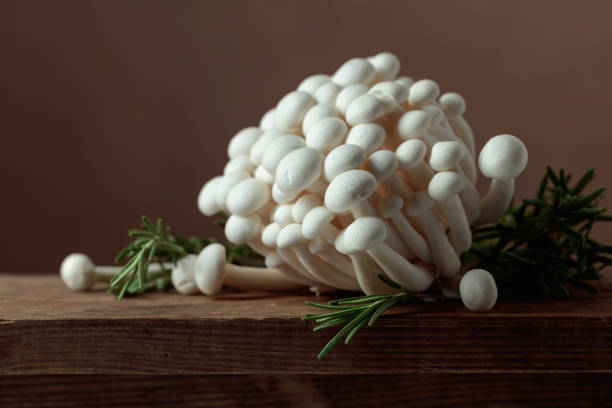 istock Shimeji mushrooms with rosemary. 1482127236