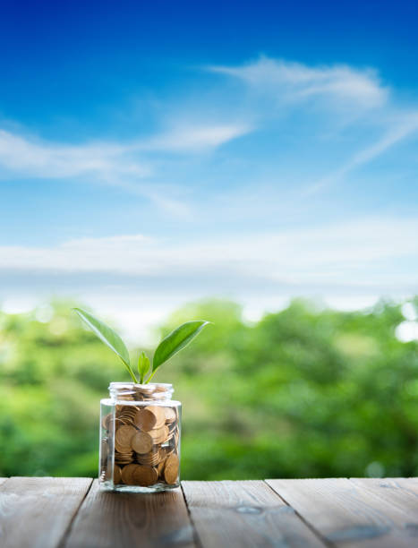 istock Young plant growing from coin jar 1482128510