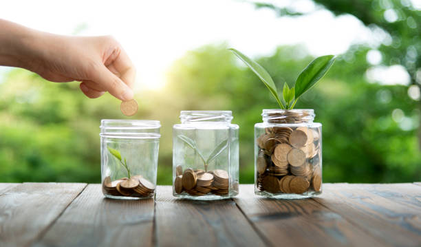 istock Young plant growing from coin jar 1482128528