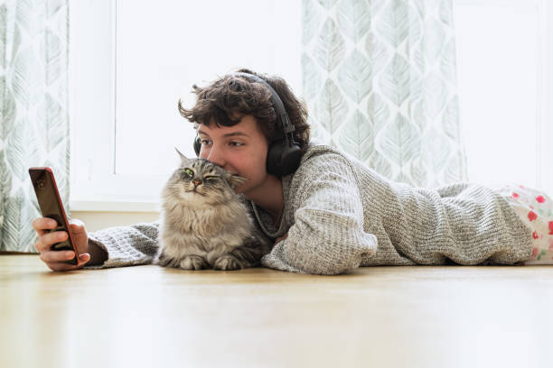 istock Spending your free time at home with your cat 1482128715