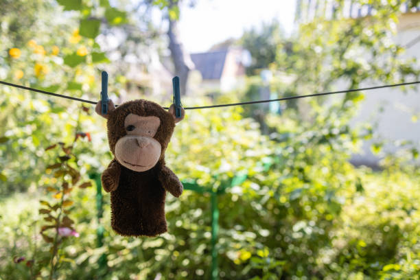 an old toy monkey hanging on a drying line.