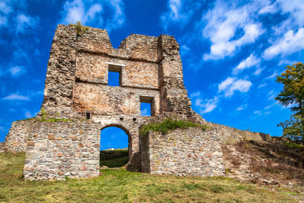 istock Old gate in castle Pusty hrad, Slovakia 1482129791