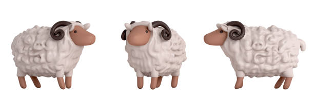 Laughing sheep on white background