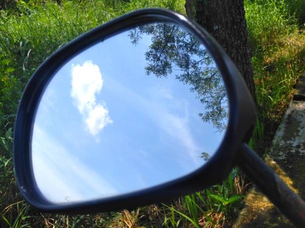 istock Plant and tree in the mirror 1482141278