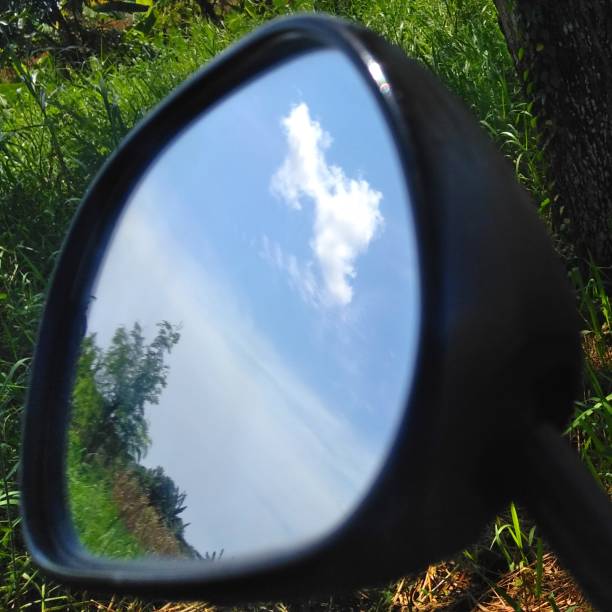 istock Plant and tree in the mirror 1482141331