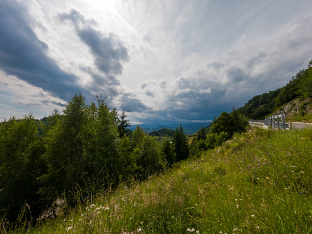 istock landscape view on the hill 1482141347