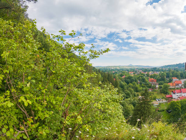 istock extensive view of the ancient city 1482141365