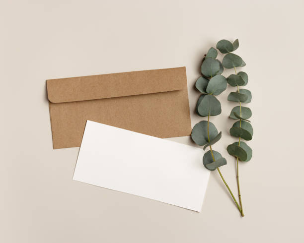 istock Blank paper card mock up and craft envelope with branches eucalyptus leaves on beige background. White empty invitation on table. Minimal lifestyle photo. Flat lay, top view, copy space. 1482141743