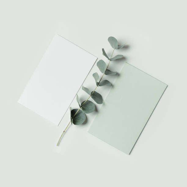 istock Blank green cards for text on light green background, Greeting or invitation card with eucalyptus branches. Minimal aesthetic lifestyle. Natural organic eco conceptual photo, flat lay 1482141768