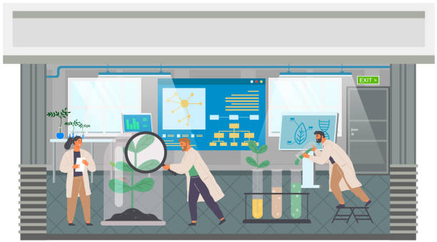 ilustrações de stock, clip art, desenhos animados e ícones de biologists study plants, conduct experiments. biological research and analysis in scientific lab - science botany chemistry formula