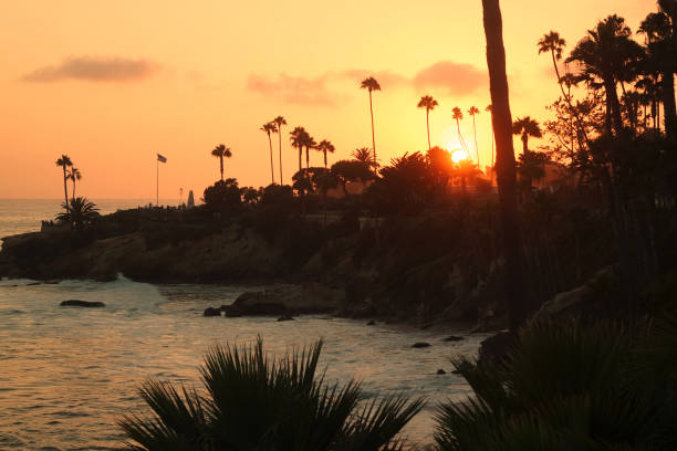 istock Sunset on the California coast 1482147772