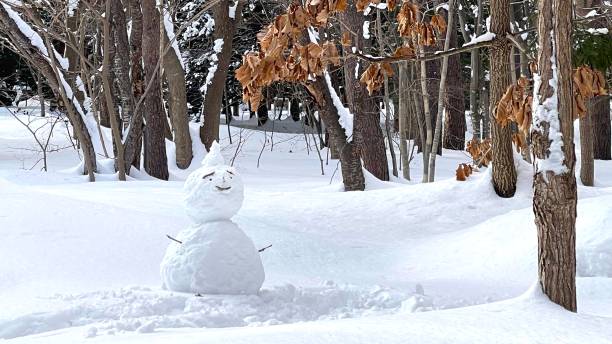 istock Snowman beaten by snowfall 1482147928