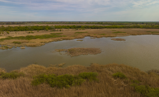 Pond plain area