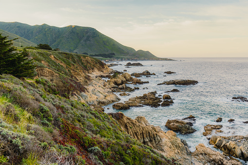 Panoramic photo of spring dawn over the rocky coastline on Monterey Peninsula, the USA