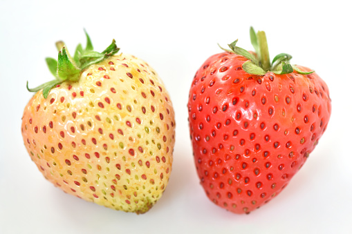 2 strawberries of different colors The unripe fruit will have a yellowish white color. The ripe fruit is red.