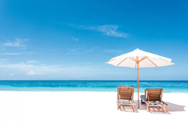 istock Chairs and umbrella on the tropical beach 1482157884