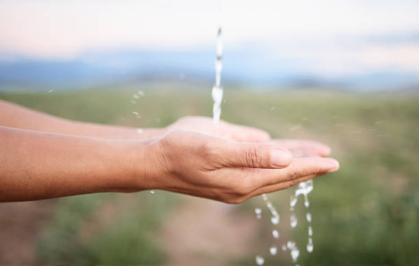istock Hands, water and washing or cleaning for hygiene, hydration and sustainability with a splash outdoors on a farm. Person, ecology and aqua to prevent germs or bacteria for care, wellness and health 1482163219