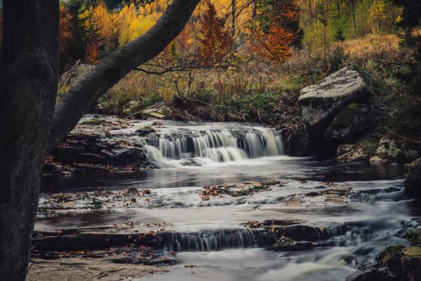 Waterfall in the Harz National Park