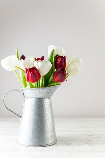 Beautiful red and white  tulips in a vase on wooden background
