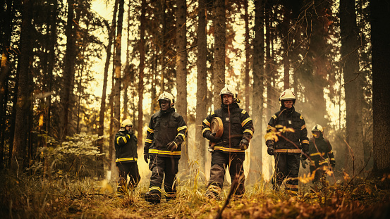 Diverse Five-Person Squad of Male and Female Firefighters Walking Deep in a Dangerous Wildland Fire Forest Area. Group Leader Giving Orders and Instructions on Where to Move to Extinguish the Fire.