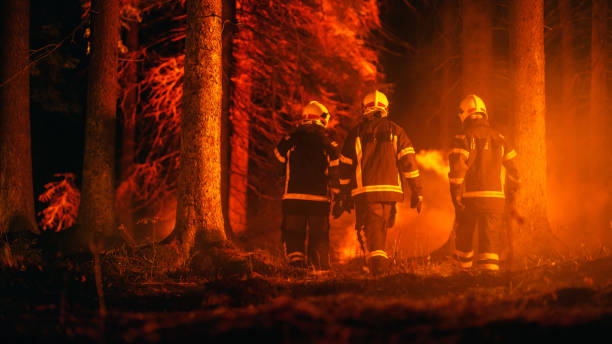 다양한 남녀 소방관들이 산불이 번지는 것을 막기 위해 숲 속 깊은 곳을 따라갑니다. 화재를 진압하기 위해 어디로 이동해야 하는지에 대한 명령과 지침을 제공하는 교육감. - fire department courage forest fire heroes 뉴스 사진 이미지
