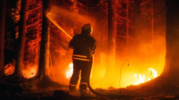 Elite Firefighter Methodically Extinguishing a Large Forest Fire with High-Pressure Water Running From Firehose. Firemen Brigade Rescuing Wildland from Dangerous Uncontrollable Arson.