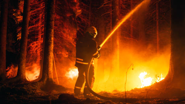 istock Elite Firefighter Methodically Extinguishing a Large Forest Fire with High-Pressure Water Running From Firehose. Firemen Brigade Rescuing Wildland from Uncontrollable Arson. 1482173982