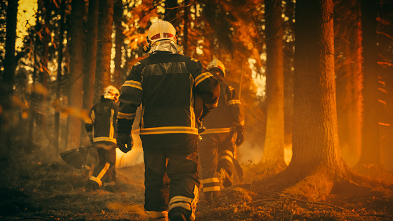 Tiro de establecimiento: Equipo de bomberos con uniforme de seguridad y cascos extinguiendo un incendio forestal, moviéndose a lo largo de un bosque ahumado para combatir una peligrosa emergencia ecológica. Imágenes cinemáticas. photo