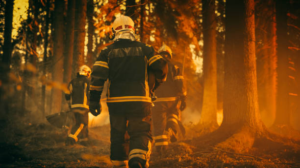 Establishing Shot: Team of Firefighters in Safety Uniform and Helmets Extinguishing a Wildland Fire, Moving Along a Smoked Out Forest to Battle Dangerous Ecological Emergency. Cinematic Footage. stock photo