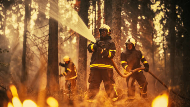 istock Experienced African American Firefighter Extinguishing a Wildland Fire Deep in a Forest. Professional in Safety Uniform and Helmet Using a Fire Hose to Battle Dangerous Wildfire. 1482174025