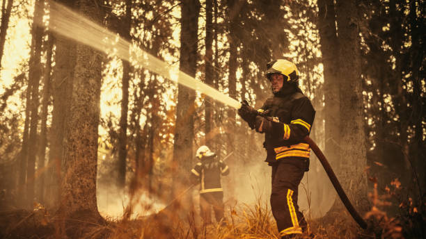 istock Experienced Firefighter Extinguishing a Wildland Fire Deep in a Forest. Professional in Safety Uniform and Helmet Using a Fire Hose to Battle Dangerous Flames Caused by Global Warming and Summer Heat. 1482174107