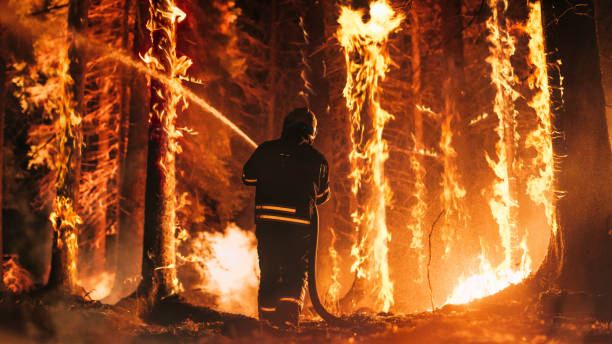 istock Experienced Firefighter Extinguishing a Wildland Fire Deep in the Woods. Professional in Safety Uniform and Helmet Spraying Water to Fight Large Flames Spreading Through Trees. 1482174180