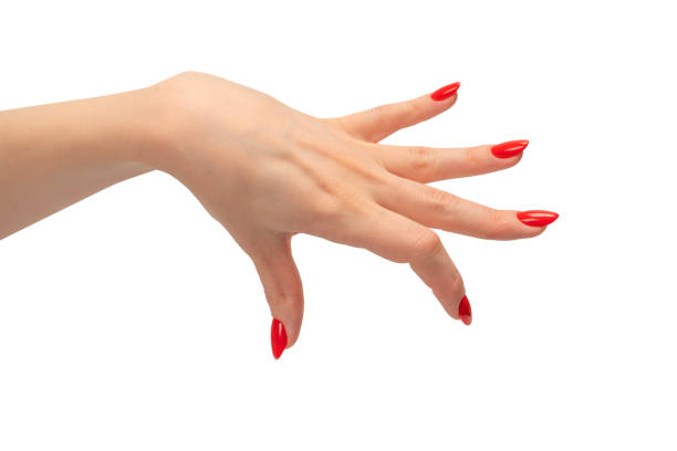istock Woman hand with red nails holding something. 1482174359