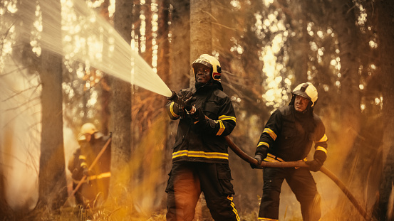 Portrait of a Brave Professional African Firefighter Using a Firehose to Fight a Raging Dangerous Forest Fire. Experienced Black Fireman Skillfully Manages the High-Pressure Water and Stays Safe.