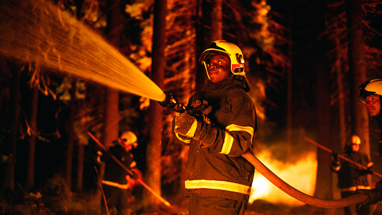 Portrait of a Handsome African American Firefighter Methodically Extinguishing a Forest Fire with the Help of a Fire Hose. Firemen Brigade Rescuing Wildland from Uncontrollable Arson.