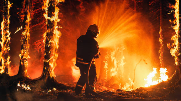 Professional Firefighter Extinguishing Large, High-Priority Part of the Forest Fire. Highly Skilled Hotshot Firemen Working on Challenging Remote Area with Flames Reaching the Treetops.