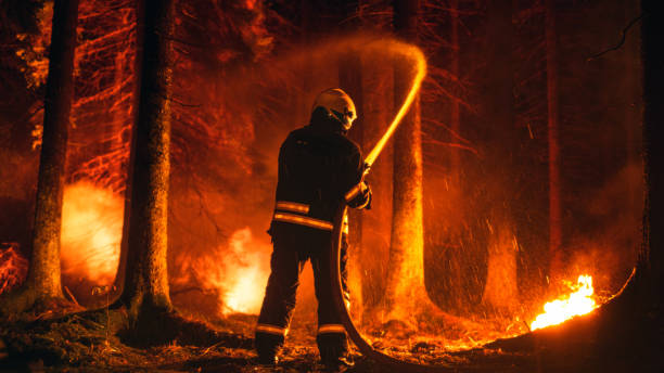 Professional Firefighter Quickly Extinguishing a Forest Fire with the Help of a Fire Hose. Fireman Rescuing Wildland from Uncontrollable Brushfire With Water Hose. Shot from the Back, Trees on Fire. bombero profesional que extingue rápidamente un incendio forestal con la ayuda de una manguera contra incendios. bombero rescatando tierras forestales de incendios incontrolables con manguera de agua. disparado desde atrás, árboles en llamas.