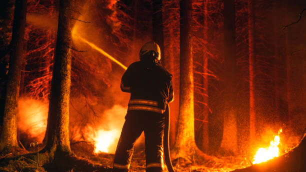 istock Professional Firefighter Quickly Extinguishing a Forest Fire with the Help of a Fire Hose. Fireman Rescuing Wildland from Uncontrollable Brushfire With Water Hose. Shot from the Back. 1482175423
