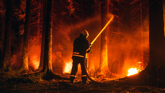 Professional Firefighter Quickly Extinguishing a Forest Fire with the Help of a Fire Hose. Fireman Rescuing Wildland from Uncontrollable Brushfire With Water Hose. Shot from the Back. Wide Shot.
