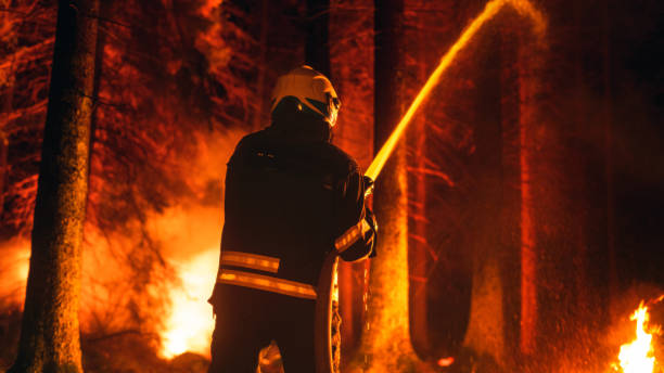 istock Professional Firefighter Quickly Extinguishing a Forest Fire with the Help of a Fire Hose. Fireman Team Rescuing Wildland from Uncontrollable Brushfire. Shot from the Back. 1482175450