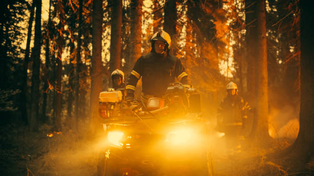 istock Professional Firefighters Crew Walking and Riding an ATV in Forest, Controlling a Wildland Fire Before it Becomes a Catastrophic Event. First Responders Arrive to the Forest and Assess the Situation. 1482175461