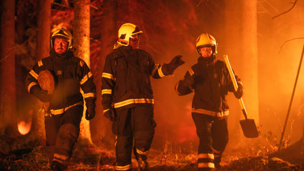 istock Professional Firefighters Crew Walking in a Smoke-Filled Forest, Controlling a Wildland Fire Before it Spreads. Team of Three First Responders Stay Calm and Receive Orders from Superintendent. 1482175480