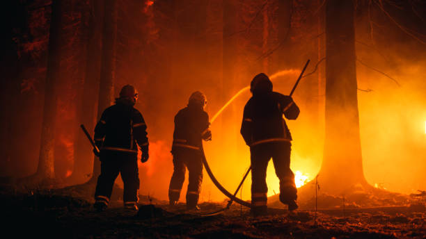 istock Shot From The Back of a Professional Firefighters Steadily Extinguishing a Forest Fire with the Help of a Fire Hose. Firemen Team Rescuing Wildland from Uncontrollable Brushfire. 1482175544