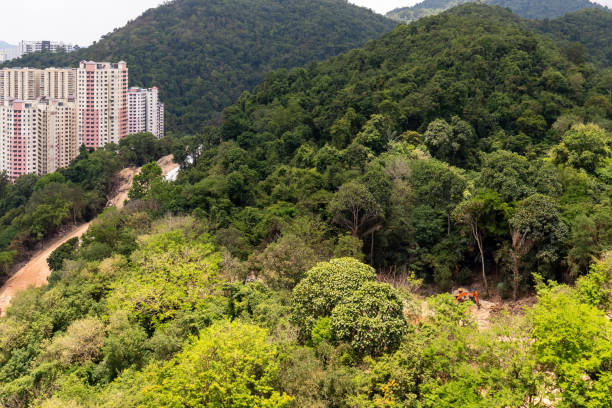 istock Urban deforestation, road development in the green hill. 1482177617