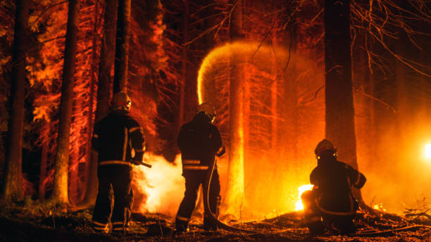 schuss aus dem rücken eines berufsfeuerwehrmanns, der mit hilfe eines feuerwehrschlauchs einen waldbrand löscht. feuerwehrteam rettet wildland vor unkontrollierbarem und gefährlichem buschfeuer. - fire department courage forest fire heroes stock-fotos und bilder