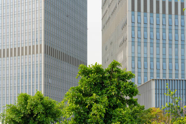 istock Green Trees and Urban Office Buildings 1482182071