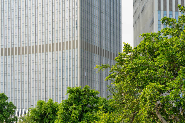 istock Green Trees and Urban Office Buildings 1482182095
