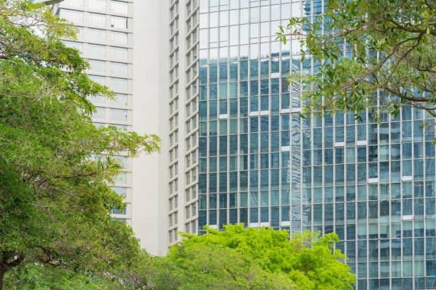 istock Green Trees and Urban Office Buildings 1482182099