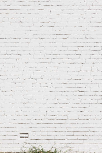 istock Part of a freshly painted old white brick wall 1482183668